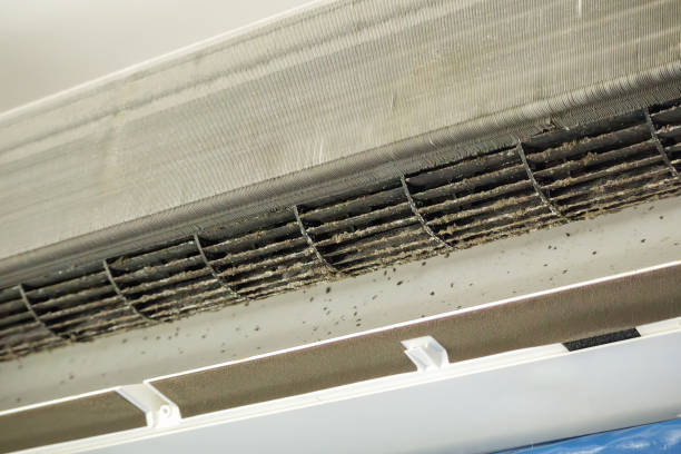 Best Professional Duct Cleaning Services  in Hometown, PA